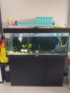 (Category: ) located in . Submitted by captainjimbh (Listing ID 1439155837, Image 1). Description: .