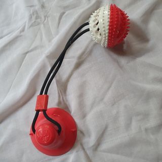 (Category: ) located in . Submitted by cobien (Listing ID 1439211054, Image 1). Description: .