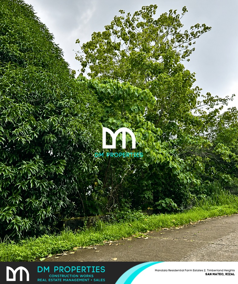 (Category: ) located in . Submitted by brokerdenise.09178166289 (Listing ID 1439079546, Image 1). Description: .