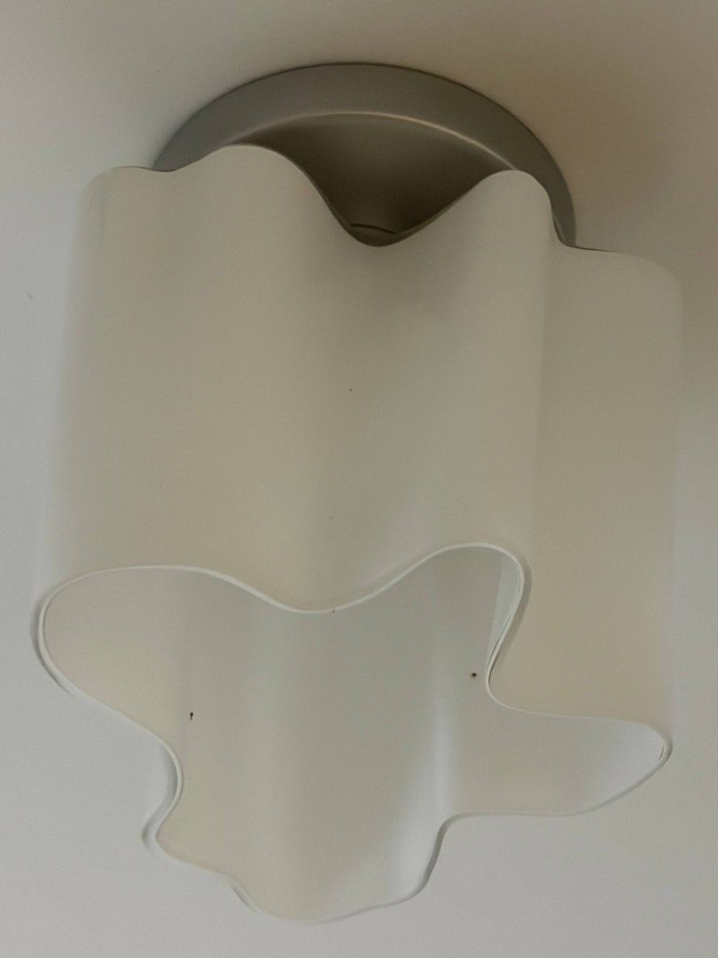 Light459983576483778562