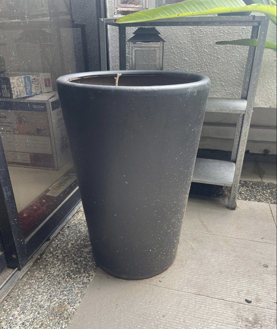 Plants460252823390136324