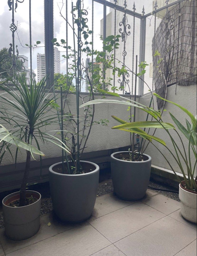 Plants460252823390136320