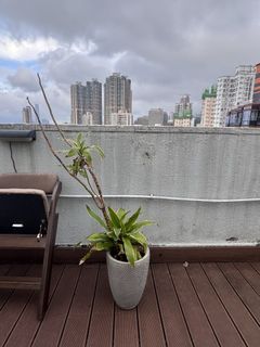 （分類：）位於 。 由 sj149 提交（商品編號 1439169635，圖片 1）。簡介： 。