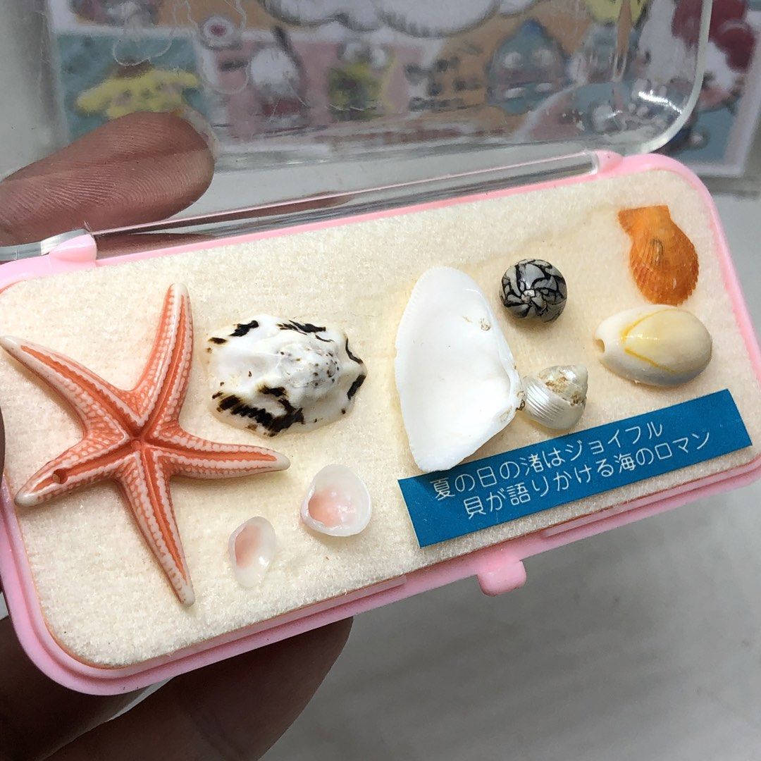 SEASHELLS COLLECTION DISPLAY (Category: Frames & Pictures) located in Quezon City. Submitted by kitsune.treasures (Listing ID 1439162513, Image 1). Description: *First to pay policy! *1 day reservation only. Failure to pay on time, auto cancel. 📍Quezon City * MOD: J&T | Lalamove * MOP: GCASH | BPI 📦ON HAND AND READY TO SHIP CONDITION: WHAT YOU SEE IS WHAT YOU GET. Dimensions: Kindly check the photos for the actual measurements. Please check all