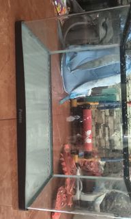(Category: ) located in . Submitted by radeemrahman (Listing ID 1439303100, Image 1). Description: .