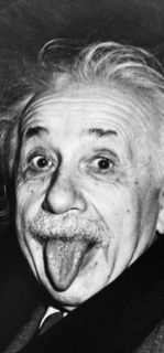 Einstein's Brain466160535272181760