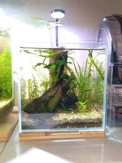 (Category: ) located in . Submitted by banzai88 (Listing ID 1439405378, Image 1). Description: .