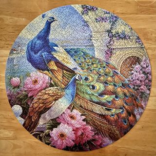 (Category: ) located in . Submitted by anotsc (Listing ID 1439317550, Image 1). Description: .