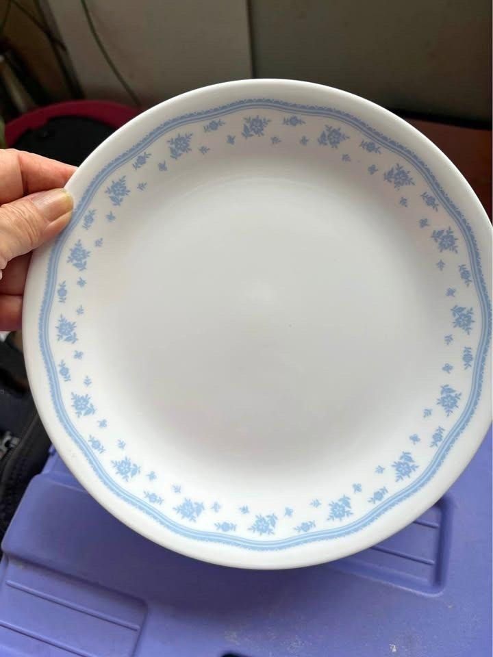 Corelle Blue Floral Plate460899573837352960
