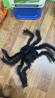 (Category: ) located in . Submitted by w31m5 (Listing ID 1439273816, Image 1). Description: .
