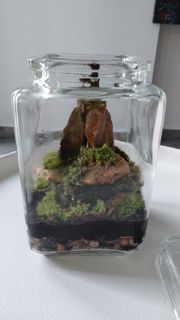 (Category: ) located in . Submitted by dan1eltay (Listing ID 1439275187, Image 1). Description: .