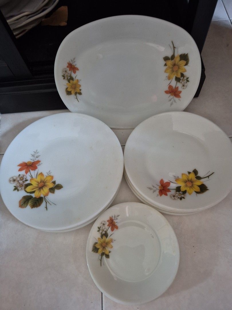 Pyrex dinner plates461011367945185280