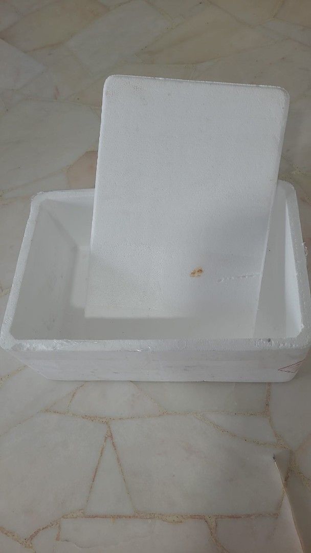 White styrafoam Cooler Box460900469971374081