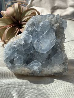 （分類：）位於 。 由 crystal_tree_99 提交（商品編號 1439434505，圖片 1）。簡介： 。