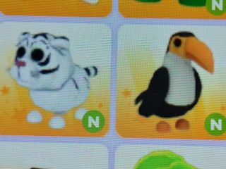 (Category: ) located in . Submitted by nonyshime (Listing ID 1439517240, Image 1). Description: .