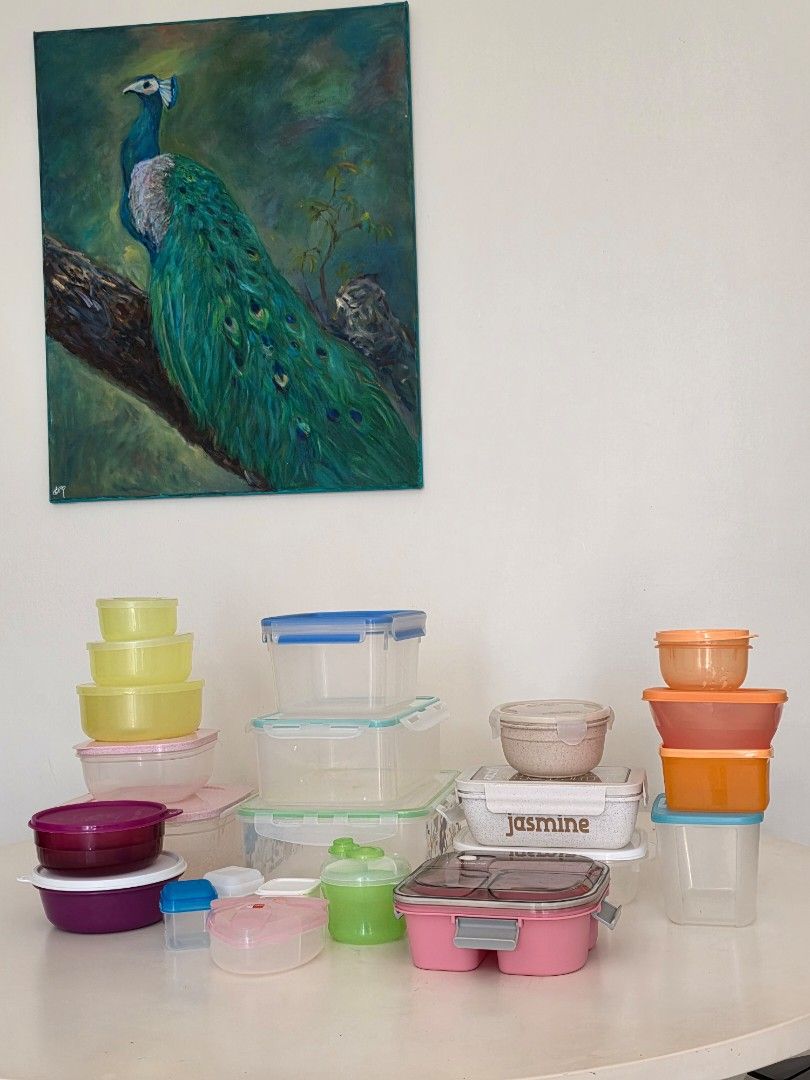 Assorted Food Storage Containers461938660927098880