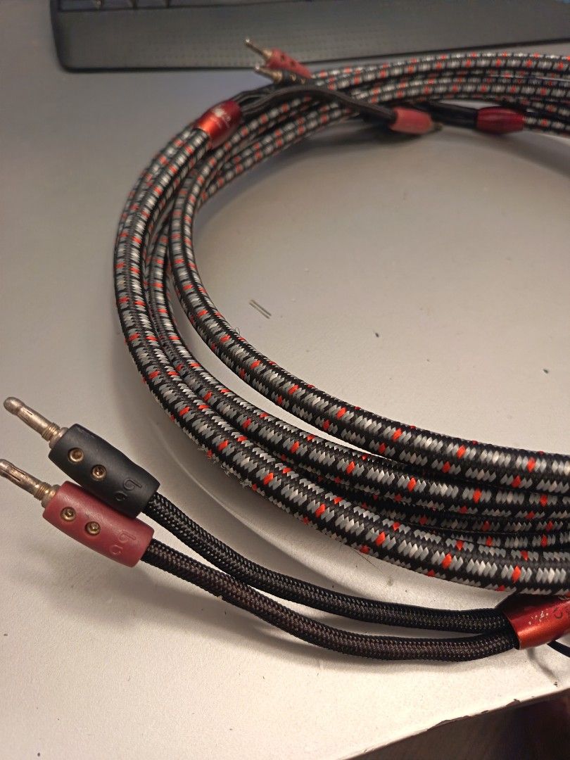 AudioQuest DBS 72V Speaker Cables465277925185955843