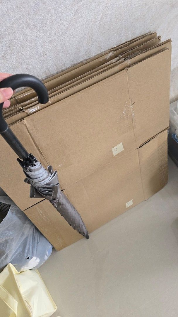 Cardboard boxes462183243113441280
