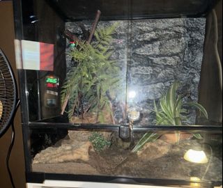(Category: ) located in . Submitted by 98AAA (Listing ID 1439466063, Image 1). Description: .