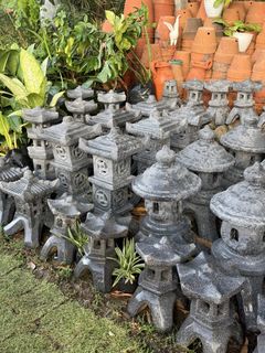 (Category: ) located in . Submitted by plants_sale (Listing ID 1439538097, Image 1). Description: .