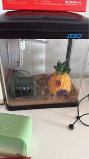 (Category: ) located in . Submitted by happymoon.131eb0 (Listing ID 1439459954, Image 1). Description: .