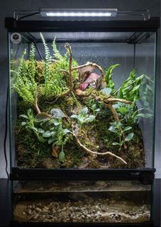 (Category: ) located in . Submitted by built_to_nature (Listing ID 1439572830, Image 1). Description: .
