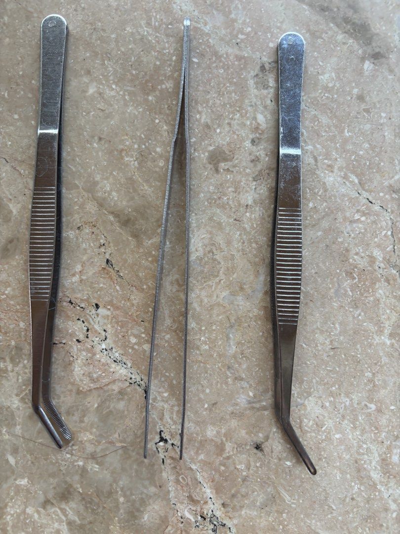Stainless Steel Forceps/Tweezers Bundle (Category: Other Kitchenware & Tableware) located in Quezon City. Submitted by tidyup.lara (Listing ID 1439460693, Image 2). Description: Buy all in photo for PHP 200 Sold as is Condition 8/10: used but in good condition.