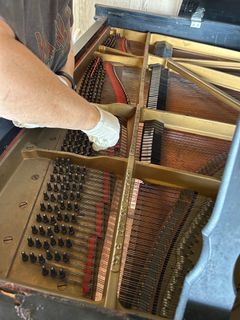 (Category: ) located in . Submitted by pianotunersteven (Listing ID 1439427759, Image 1). Description: .