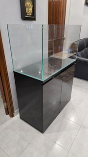 (Category: ) located in . Submitted by fiestar_sg (Listing ID 1439688545, Image 1). Description: .