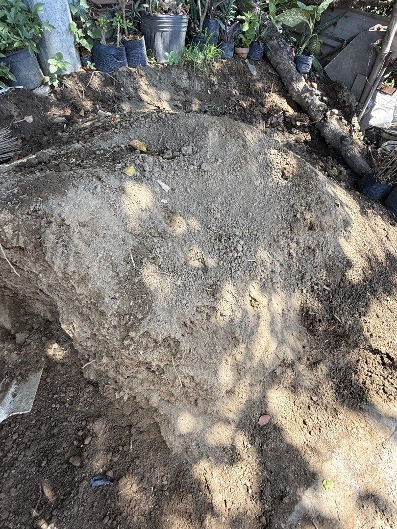Garden soil / loam soil /mix soil (Category: Soil & Fertilisers) located in Paranaque City. Submitted by plants_sale (Listing ID 1439657063, Image 1). Description: .