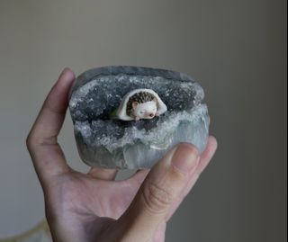 (Category: ) located in . Submitted by matcha.latte. (Listing ID 1439764376, Image 1). Description: .
