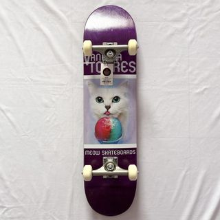 Skateboard Completes Collection item 3