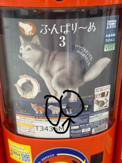 （分類：）位於 。 由 curbbbbb 提交（商品編號 1439720182，圖片 1）。簡介： 。
