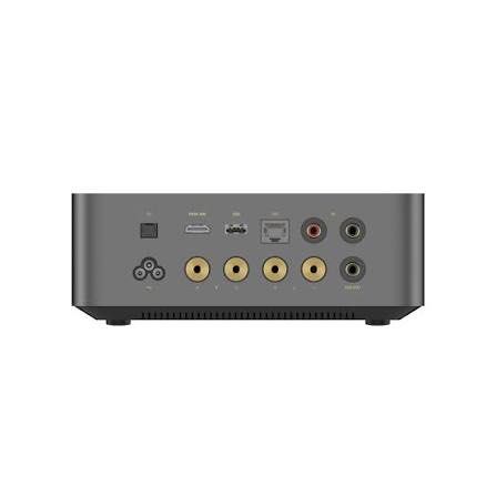 WiiM Amp Ultra463374576203878401
