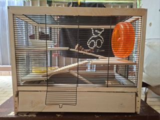 (Category: ) located in . Submitted by kitty-m (Listing ID 1439630267, Image 1). Description: .
