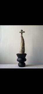 （分類：）位於 。 由 RLF.Theo 提交（商品編號 1439918110，圖片 1）。簡介： 。