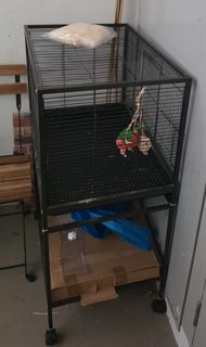 (Category: ) located in . Submitted by kkunkarko (Listing ID 1439891800, Image 1). Description: .