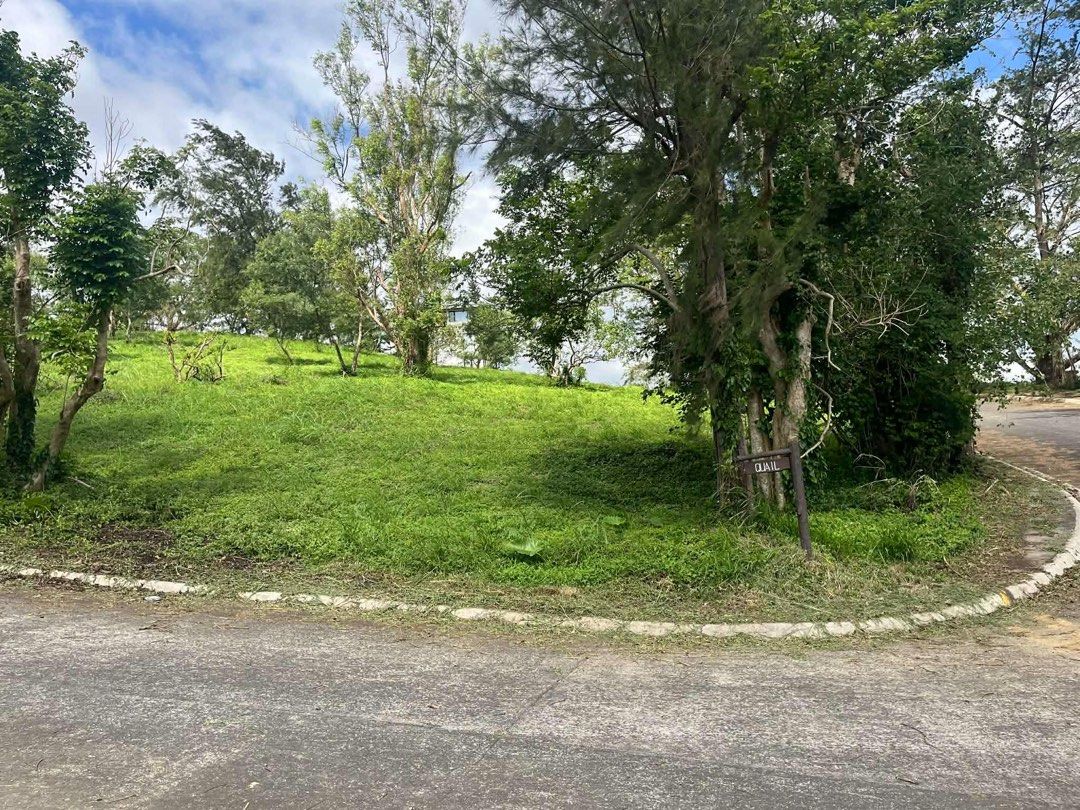 Canyon Woods Residential Resort (Category: Lot) located in Manila. Submitted by jeru0689 (Listing ID 1439877335, Image 2). Description: Canyon Woods Residential Resort Corner Lot 496sqm clean title updated tax dec not agent unit owner mismo seller .