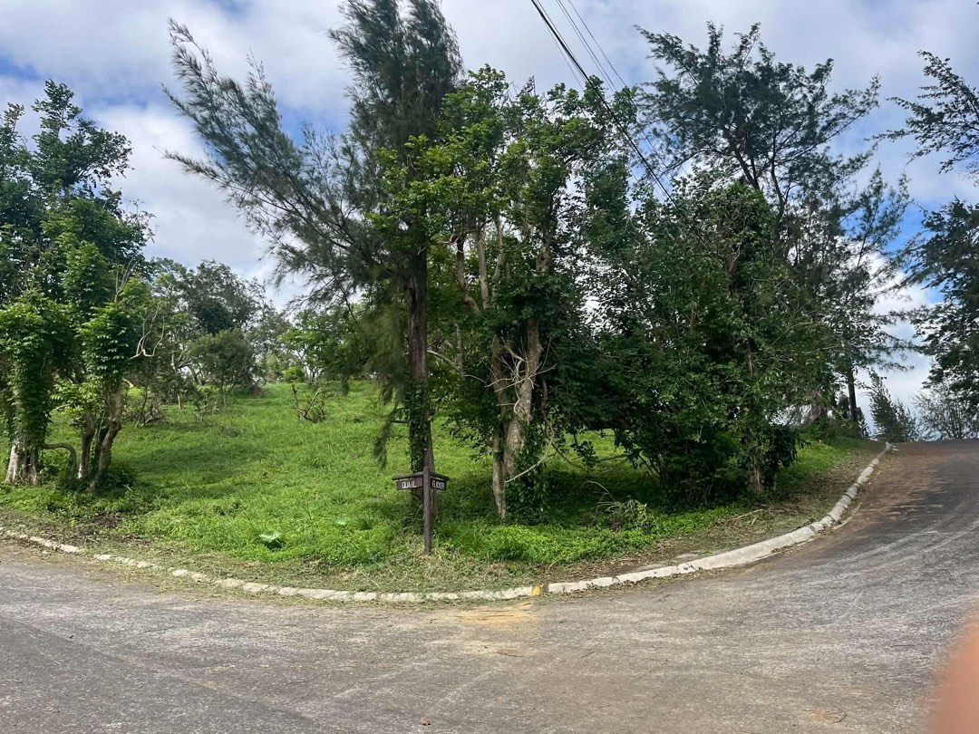 (Category: ) located in . Submitted by olxph_878587127 (Listing ID 1439877335, Image 1). Description: .