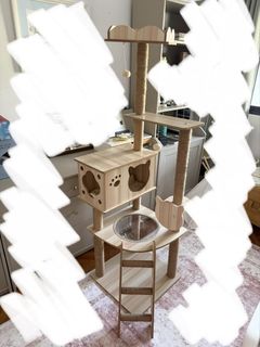 (Category: ) located in . Submitted by joannajane (Listing ID 1439811122, Image 1). Description: .