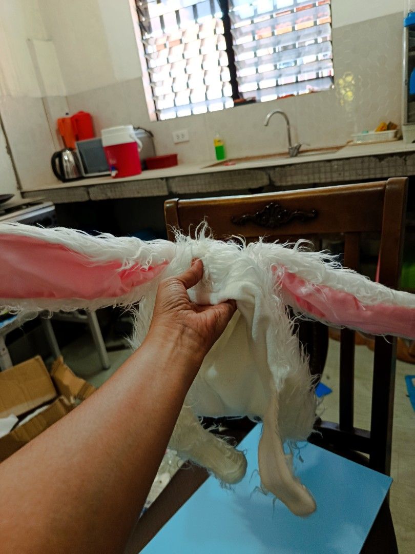 Head gear for costume pink white rabbit (Category: Hair Accessories) located in Quezon City. Submitted by kristal68 (Listing ID 1439942631, Image 3). Description: .
