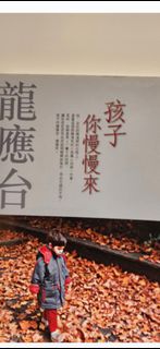 （分類：）位於 。 由 beebrr 提交（商品編號 1439815125，圖片 1）。簡介： 。