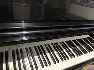 （分類：）位於 。 由 cat_andy 提交（商品編號 1439921887，圖片 1）。簡介： 。