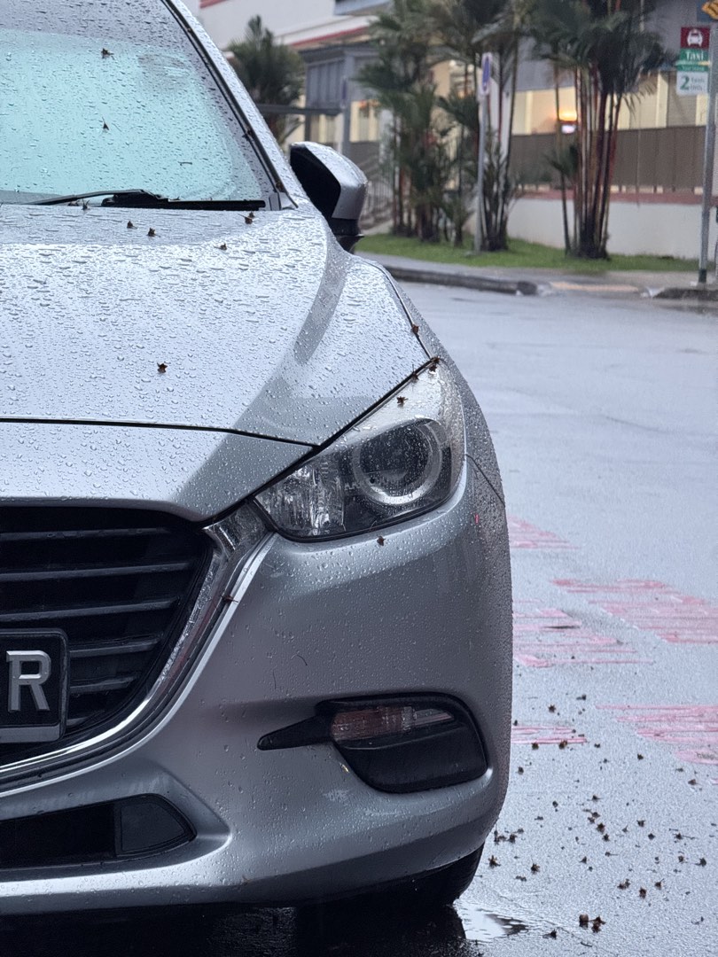 (Category: ) located in . Submitted by d.g.sneaker_sg (Listing ID 1439836920, Image 1). Description: .