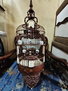 (Category: ) located in . Submitted by jeffkimhuat (Listing ID 1439920948, Image 1). Description: .