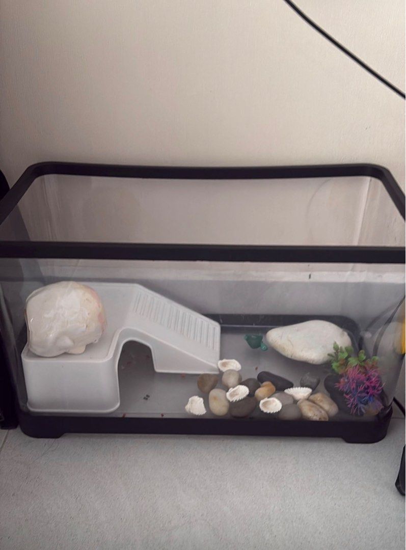 Turtle Tank with Integrated Ramp, Pet Supplies, Homes & Other Pet ...