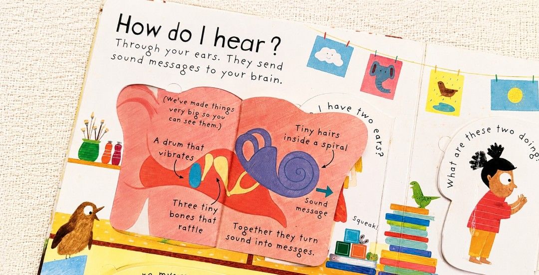 Usborne How do I see - First Answer & Question, Lift the Flap (Category: Children's Books) located in Pateros City. Submitted by sktreasures (Listing ID 1439661960, Image 2). Description: .
