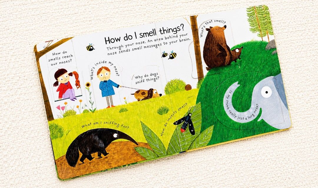 Usborne How do I see - First Answer & Question, Lift the Flap (Category: Children's Books) located in Pateros City. Submitted by sktreasures (Listing ID 1439661960, Image 3). Description: .