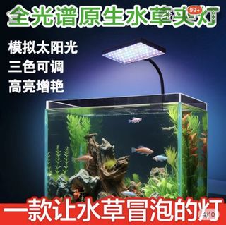 (Category: ) located in . Submitted by white-rabbit (Listing ID 1439929492, Image 1). Description: .
