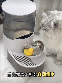 （分類：）位於 。 由 hahohee 提交（商品編號 1440042887，圖片 1）。簡介： 。